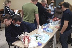 Базовый курс эффективного применения диодных лазерных систем в ежедневной практике врача-стоматолога любой специальности